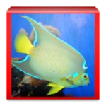 aquarium and fishes android application logo